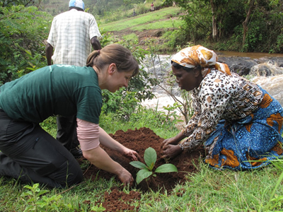 Tree Planting